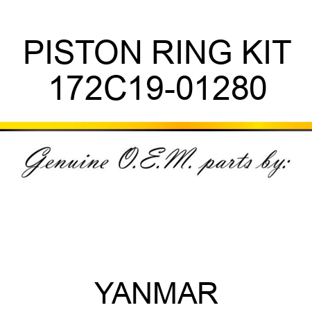 PISTON RING KIT 172C19-01280