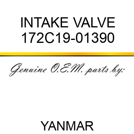 INTAKE VALVE 172C19-01390