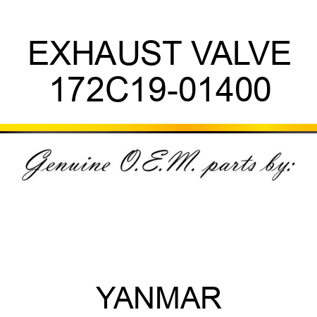 EXHAUST VALVE 172C19-01400