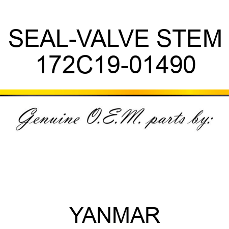 SEAL-VALVE STEM 172C19-01490