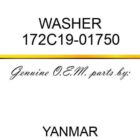 WASHER 172C19-01750