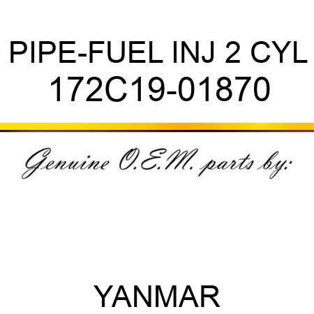 PIPE-FUEL INJ 2 CYL 172C19-01870