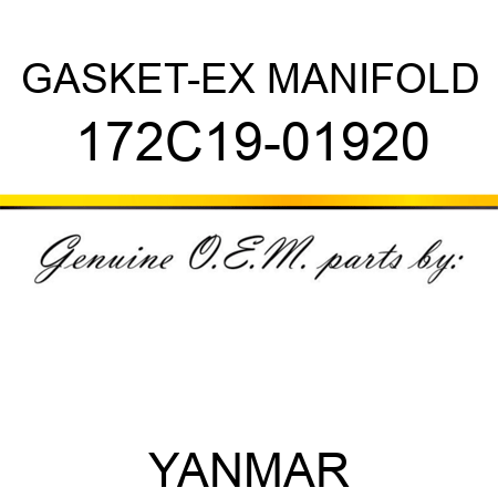 GASKET-EX MANIFOLD 172C19-01920