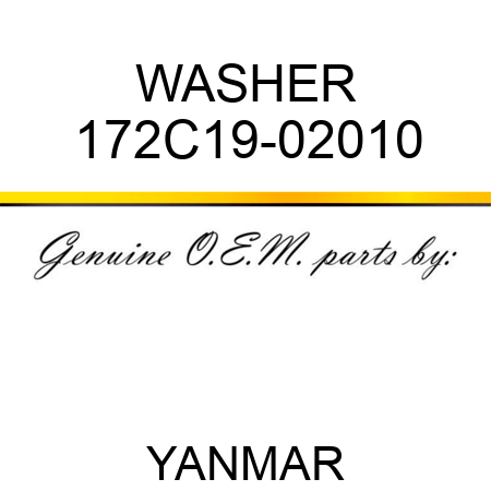 WASHER 172C19-02010