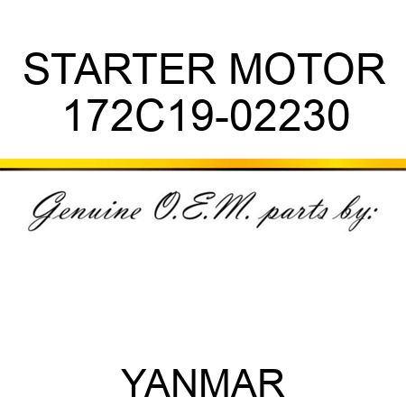 STARTER MOTOR 172C19-02230
