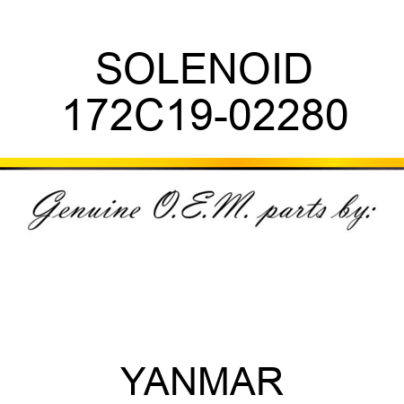 SOLENOID 172C19-02280