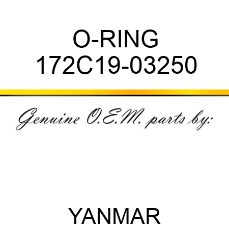 O-RING 172C19-03250