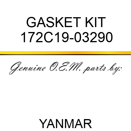 GASKET KIT 172C19-03290