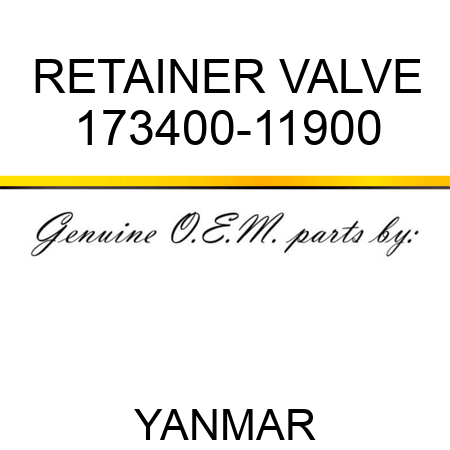 RETAINER, VALVE 173400-11900