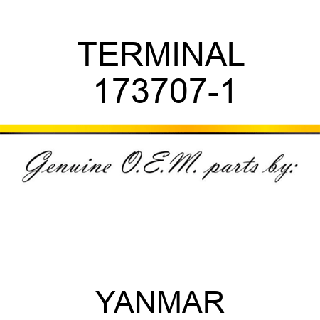 TERMINAL 173707-1