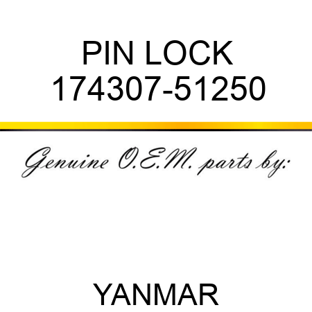 PIN, LOCK 174307-51250