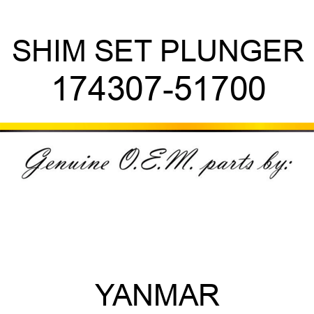 SHIM SET, PLUNGER 174307-51700