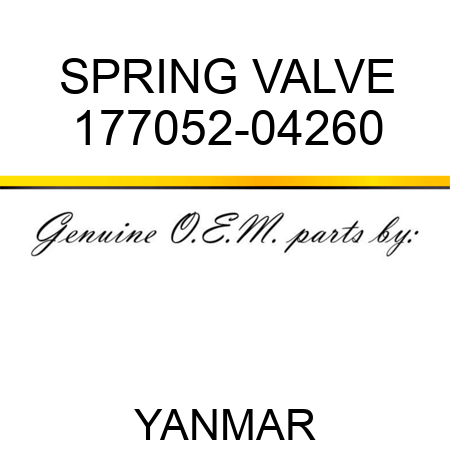 SPRING, VALVE 177052-04260