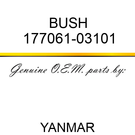 BUSH 177061-03101
