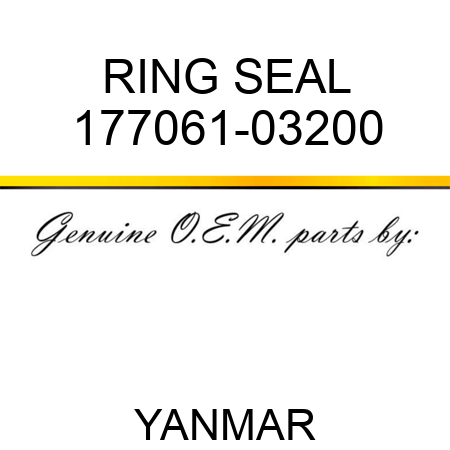 RING, SEAL 177061-03200