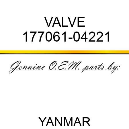VALVE 177061-04221