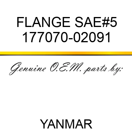FLANGE, SAE#5 177070-02091
