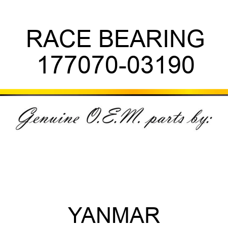 RACE, BEARING 177070-03190
