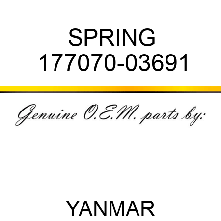 SPRING 177070-03691