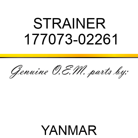 STRAINER 177073-02261