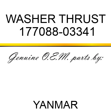 WASHER, THRUST 177088-03341