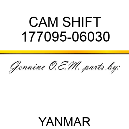 CAM, SHIFT 177095-06030