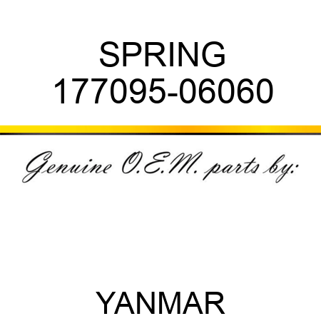 SPRING 177095-06060
