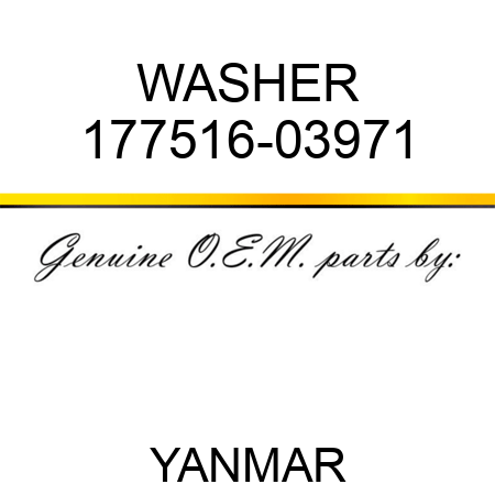WASHER 177516-03971