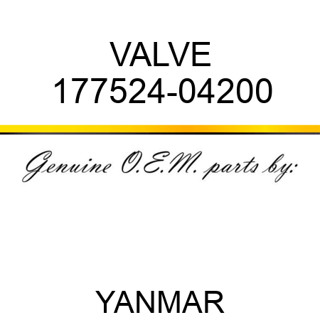 VALVE 177524-04200