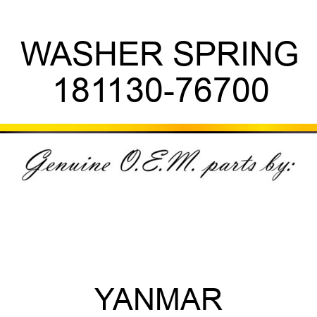 WASHER, SPRING 181130-76700