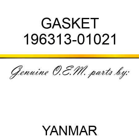 GASKET 196313-01021