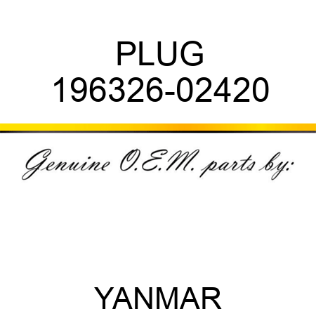 PLUG 196326-02420