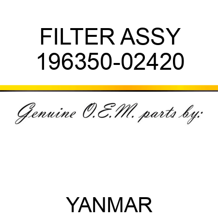 FILTER ASSY 196350-02420