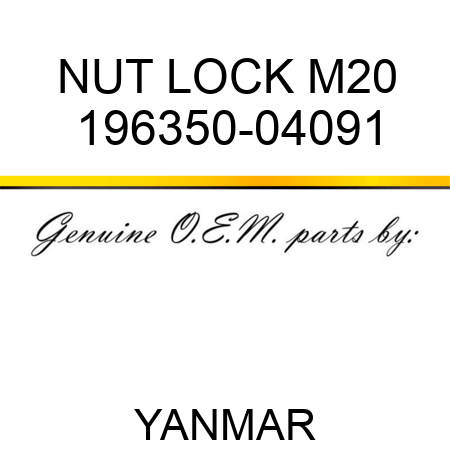 NUT, LOCK M20 196350-04091