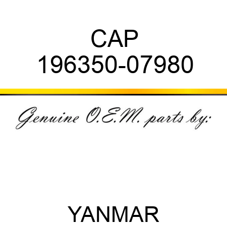 CAP 196350-07980