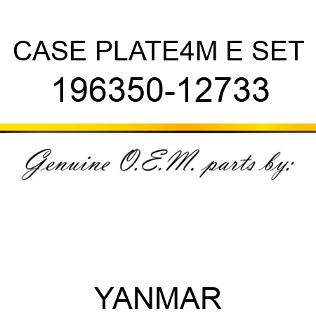 CASE PLATE,4M E SET 196350-12733