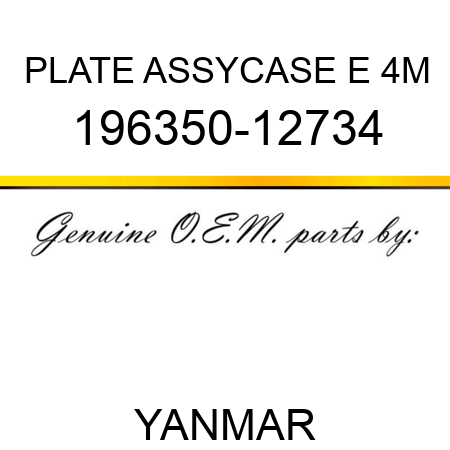 PLATE ASSY,CASE E 4M 196350-12734