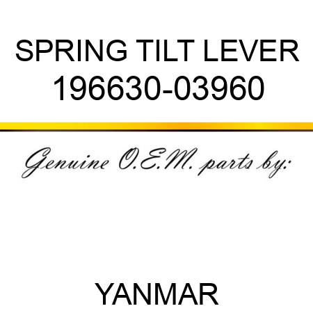 SPRING, TILT LEVER 196630-03960