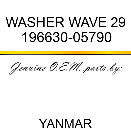 WASHER, WAVE 29 196630-05790