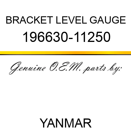 BRACKET, LEVEL GAUGE 196630-11250