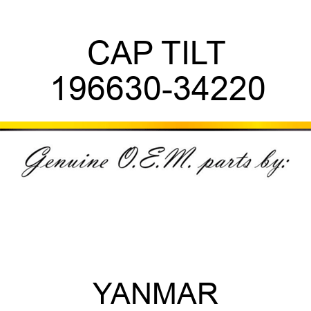 CAP, TILT 196630-34220