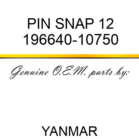 PIN, SNAP 12 196640-10750