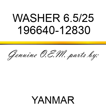 WASHER, 6.5/25 196640-12830