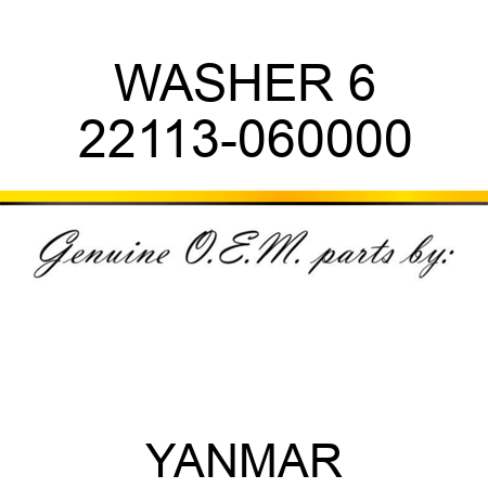 WASHER, 6 22113-060000