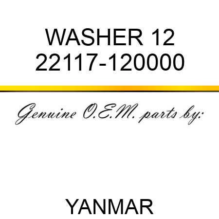 WASHER, 12 22117-120000