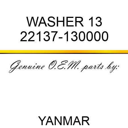 WASHER, 13 22137-130000