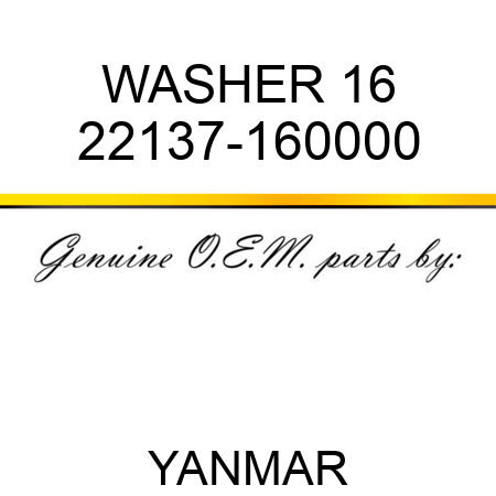 WASHER, 16 22137-160000