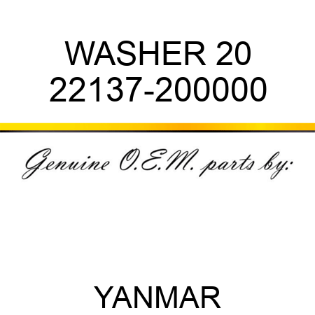 WASHER, 20 22137-200000