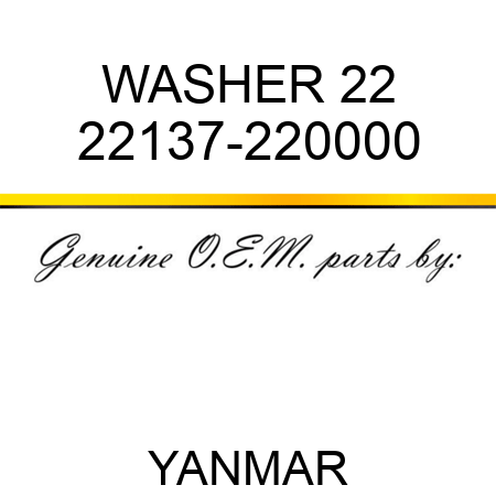 WASHER, 22 22137-220000