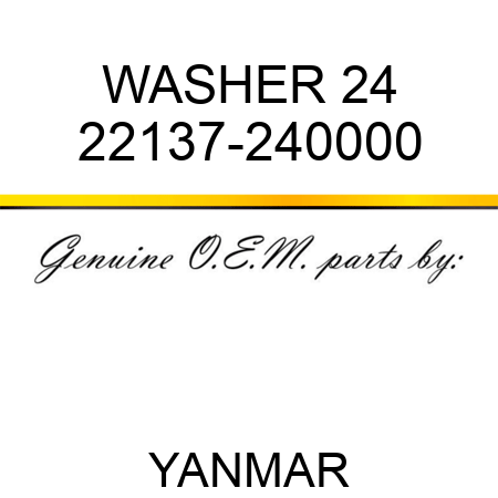 WASHER, 24 22137-240000